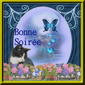 Gif animé bonne soirée en cadre